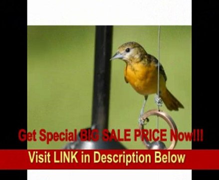 Nikon 80-400mm f/4.5-5.6D ED Autofocus VR Zoom Nikkor Lens