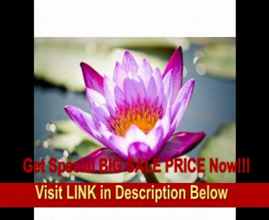 Canon EF 180mm f3.5L Macro USM AutoFocus Telephoto Lens for Canon SLR Cameras