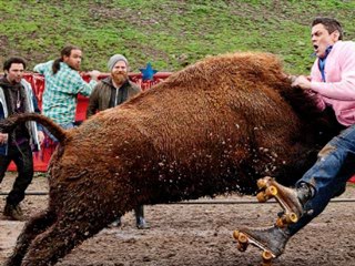 Jackass 3D online watch www.hdmoviespool.com