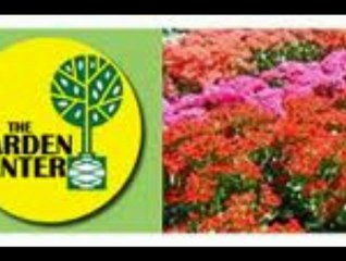 Tree Planting Service