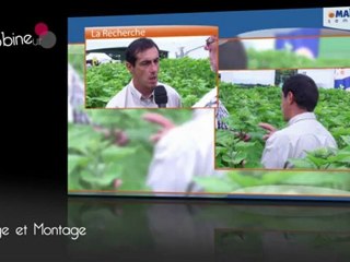 Film corporate de qualité en Picardie et régions alentour.