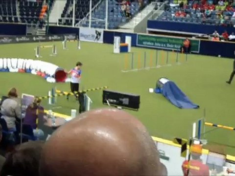 Cocker WC Agility 2012