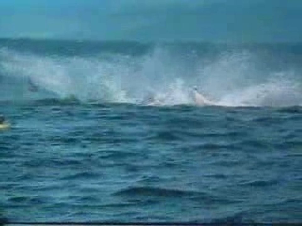 Kayak-epaulard