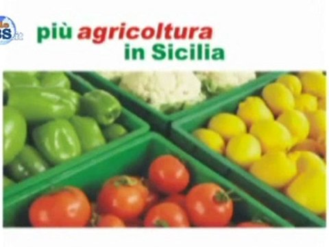 Giampiero Giacalone - Nuovo Spot elezioni regionali Sicilia 2012