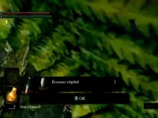 Dark Souls - le Chevalier noir et le bouclier végétal