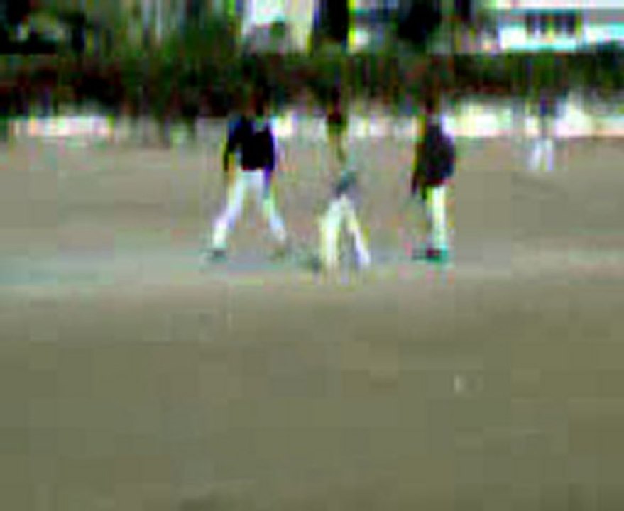 shah school circit