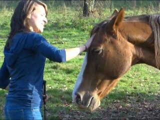 Folie, une belle leçon de vie...
