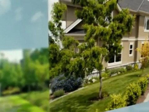 Dubs Trees & Landscaping LLC - (432) 553-4250