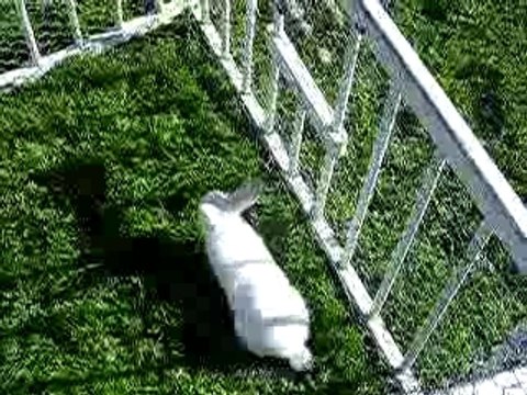 sortie de la ptite famille