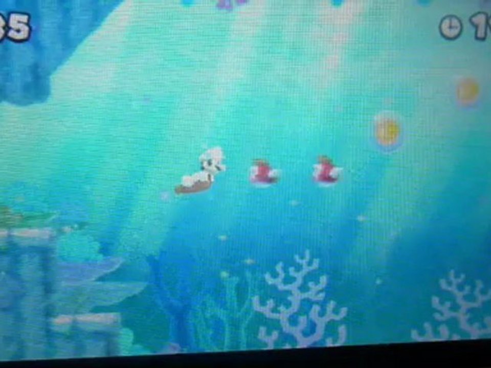 new super mario bros 2 H.8 les gros poissons