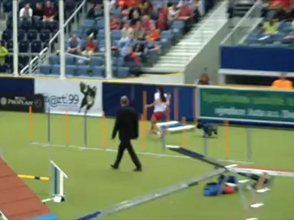 Schapendoes WC Agility 2012