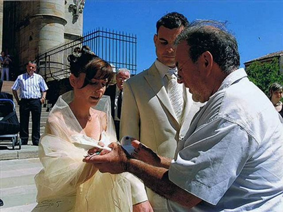 LACHER DE COLOMBES TOULON 06 64 93 72 84 POUR MARIAGE