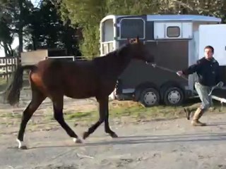 BOY DE REBOMARD A STE MARIE DU MONT