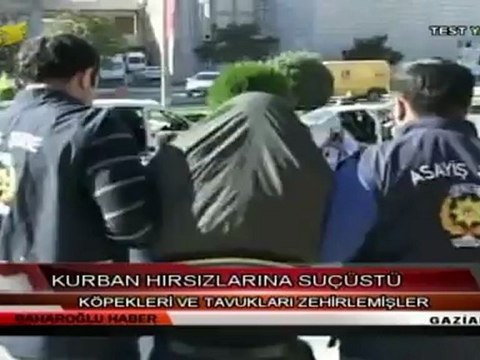 Ahmet ateş (Arayış) 7