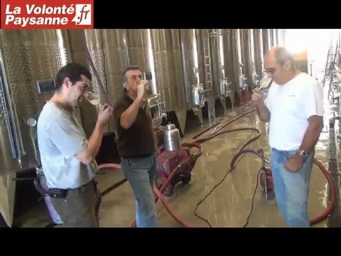 AOC Côtes de Millau : un long processus de vinification