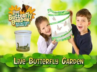 Education Supplies - Insect Lore Butterfly Garden Kit