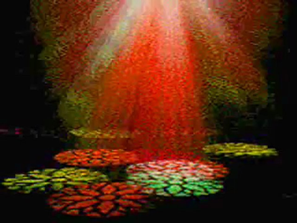 SeSLiGiRGiR.CoM  aCıklamayı Okuyunuz , Ferdi Tayfur   Huzurum Kalmadi REMIX