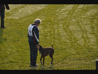 ATIBOX IPO WM 2012 - CAESAR OB