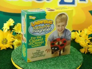 Education Supplies - Insect Lore's Ladybug Tabletop Magnifier