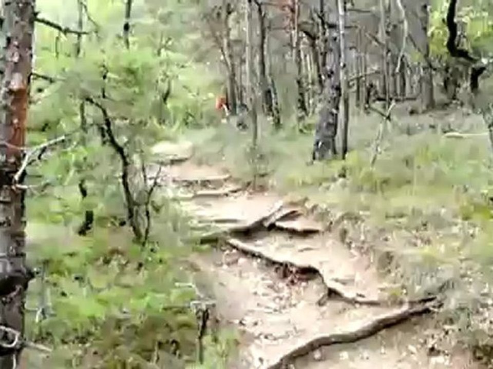 PA120625_mpeg2video