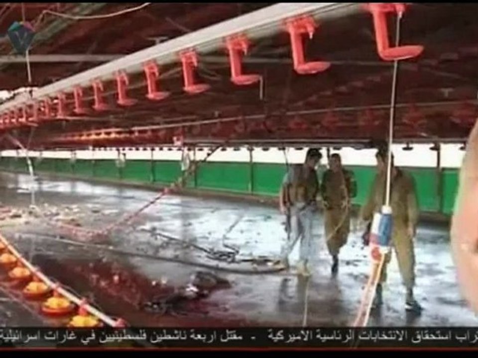 Levant News 24.10.2012