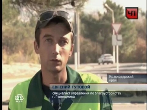 CHP.(24.10.2012.XviD).SATRip