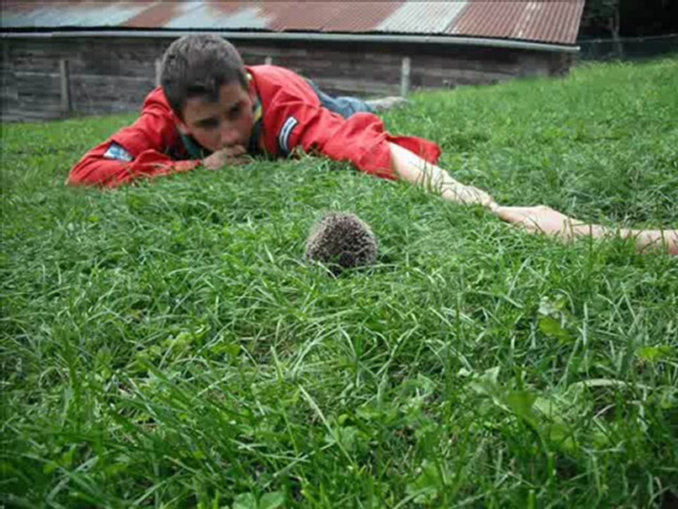 Camp d'été 2012 - Pionniers-Caravelles - Groupe SELS