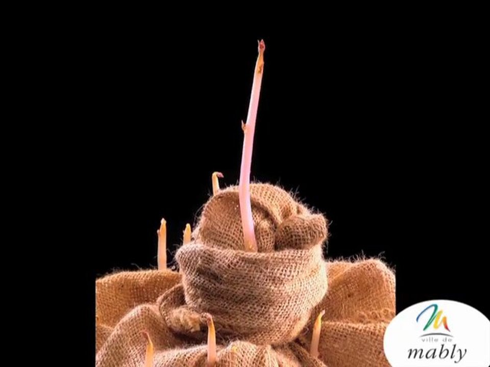 EXPO  Exubérance à Mably