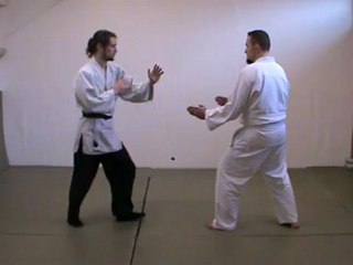 (chudan) mae geri (kakato)