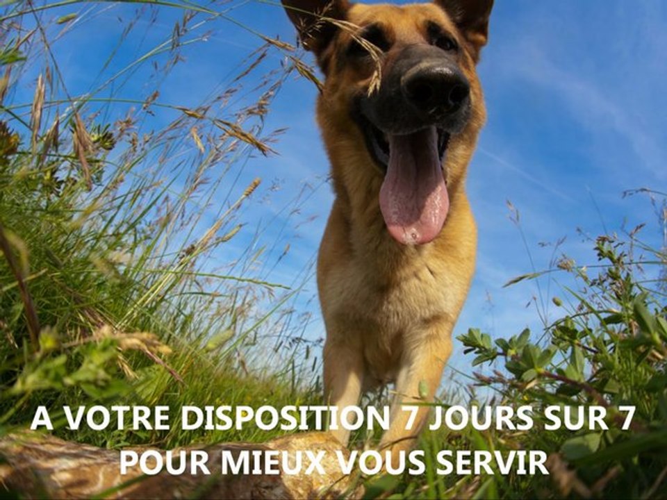 CLINIQUE VETERINAIRE SAINT MAXIMIN CHIRURGIE MEDECINE URGENCE  ANIMALERIE PRODUITS DISCOUNT HOPITAL VETERINAIRE