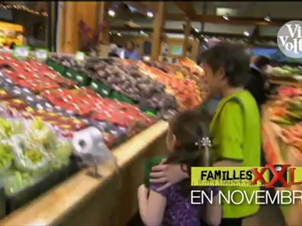 En novembre.. sur VivoltaT0025214