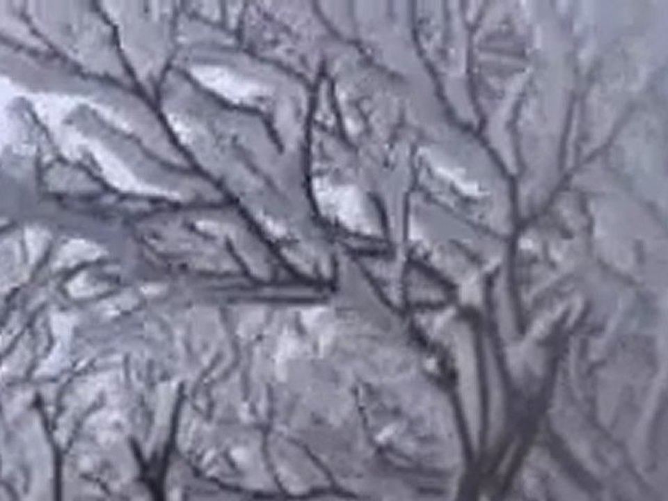 20121024 剣山で霧氷