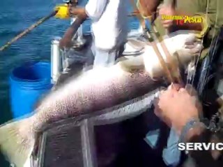Panorama de Pesca TV 97