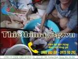 May vat, nho, lam long ga, vit, gia cam. Máy vặt lông gà, vịt,ngan, gia cầm