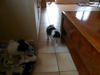 bébés ce matin 006