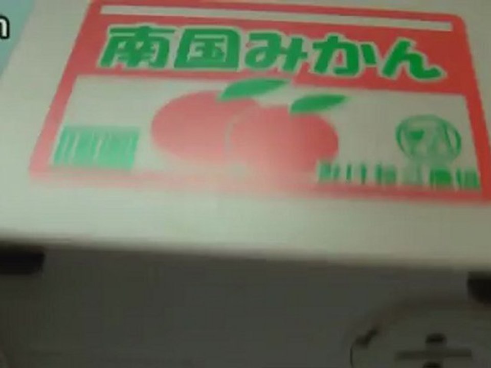 Video Of Itazura Cute Cat Piggy Bank - Great Gift for Kids