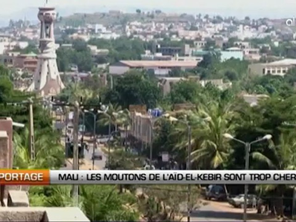 Mali: Les moutons de l'Aid El Kebir sont trop chers