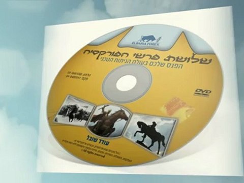 עודד שובל | המלצה על קורס מטח מעשי | צפו בודיאו