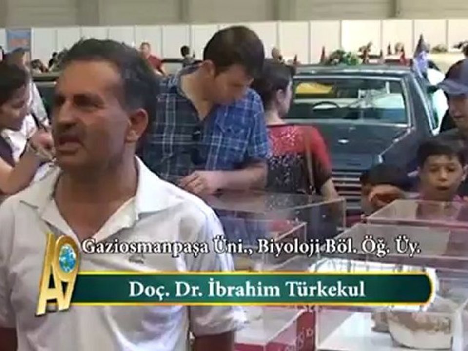 İNSANLAR EVRİME İNANMIYOR - 1