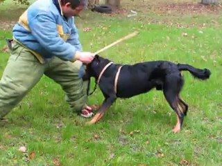 Gantz entrainement 20-10-12