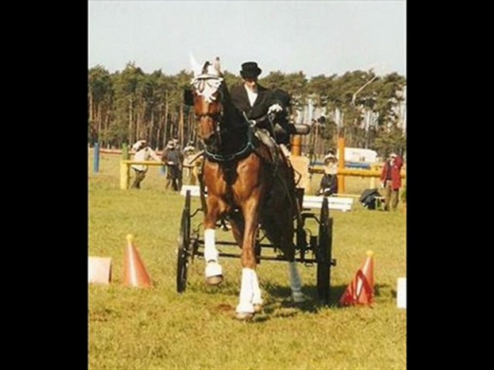 Vollbruder von Warum nicht FRH