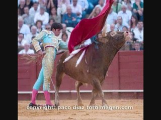 A LOS ANTITAURINOS!!(360p_H.264-AAC)