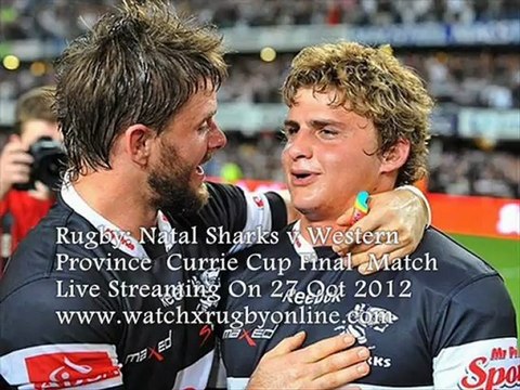 Natal Sharks vs Province Currie Cup Final 27 October 2012
