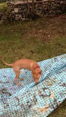 Aitch voyage sur un tapis volant