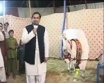 Chand Nawab parody. Indus News