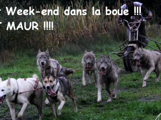 kart 6 chiens  manche 01 st maur