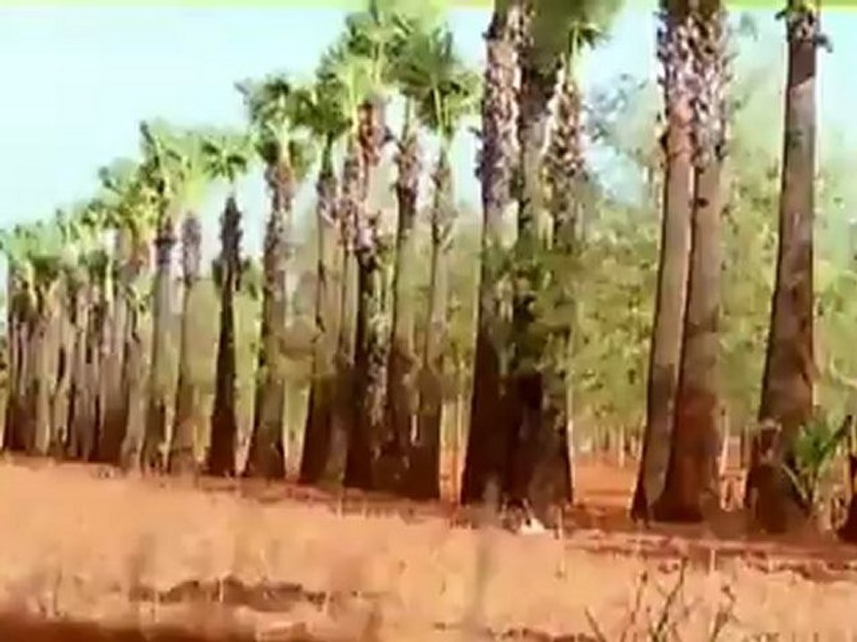 Devayani.Kannukku Kannaaga