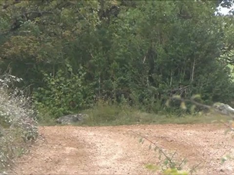 Cardabelles 2012 EVO 6 Pages.....Passages en ES