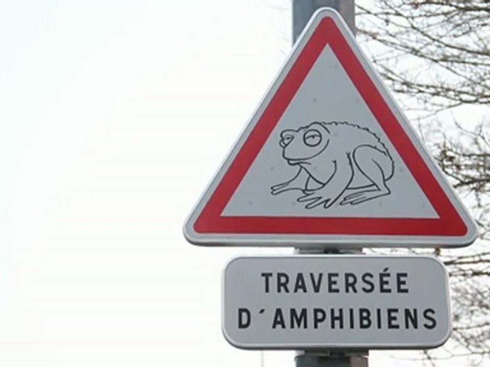 Crapauduc : Comment ça marche ?