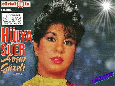 Hülya Süer - Kışın Güneş Isıtmaz